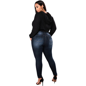Plus Size High Waist  Skinny Jeans - Alycia Mikay Fashion 